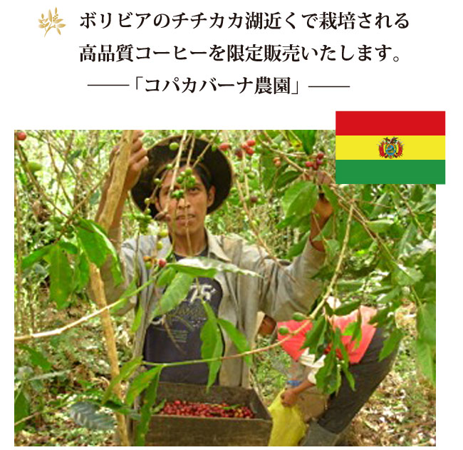 ボリビア・コパカバーナ農園 説明01