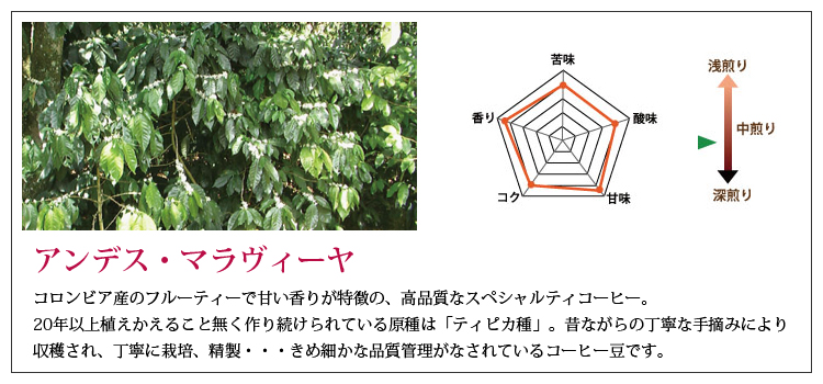 アンデス・マラヴィーヤ説明