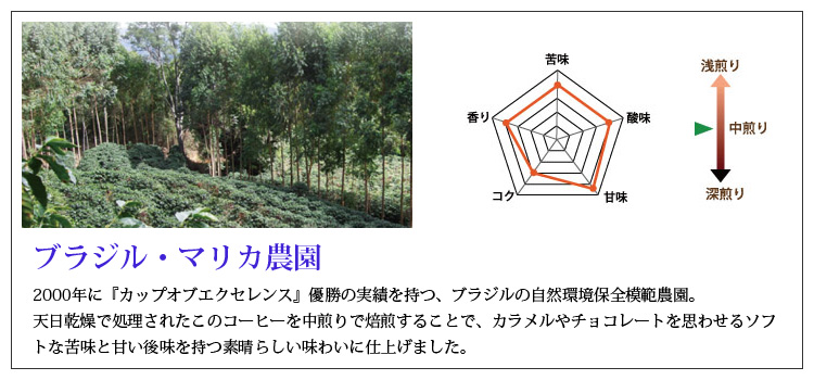 ブラジル・マリカ農園説明