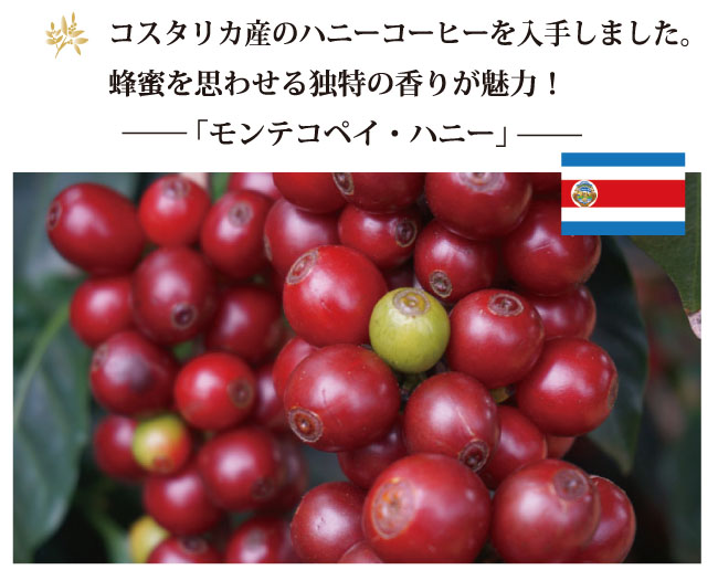 コスタリカ・モテコペイの説明01