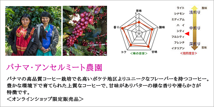 パナマ・アンセルミート農園