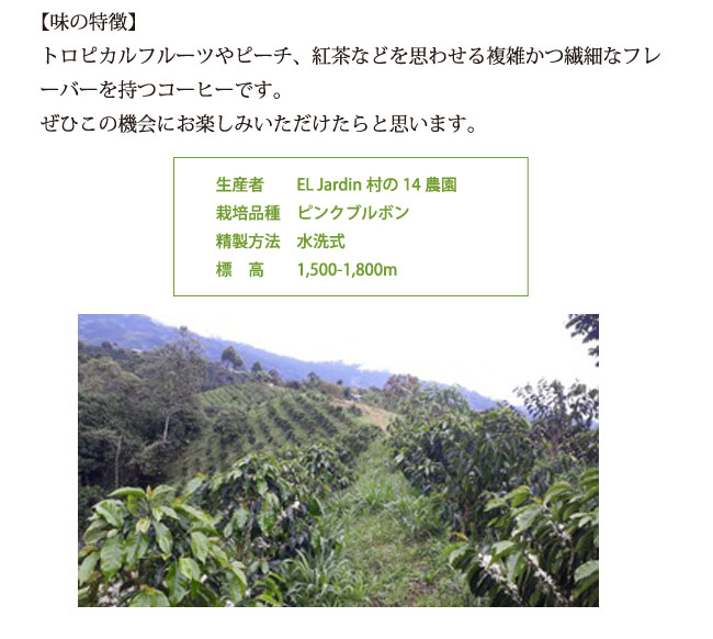 ピンクブルボン