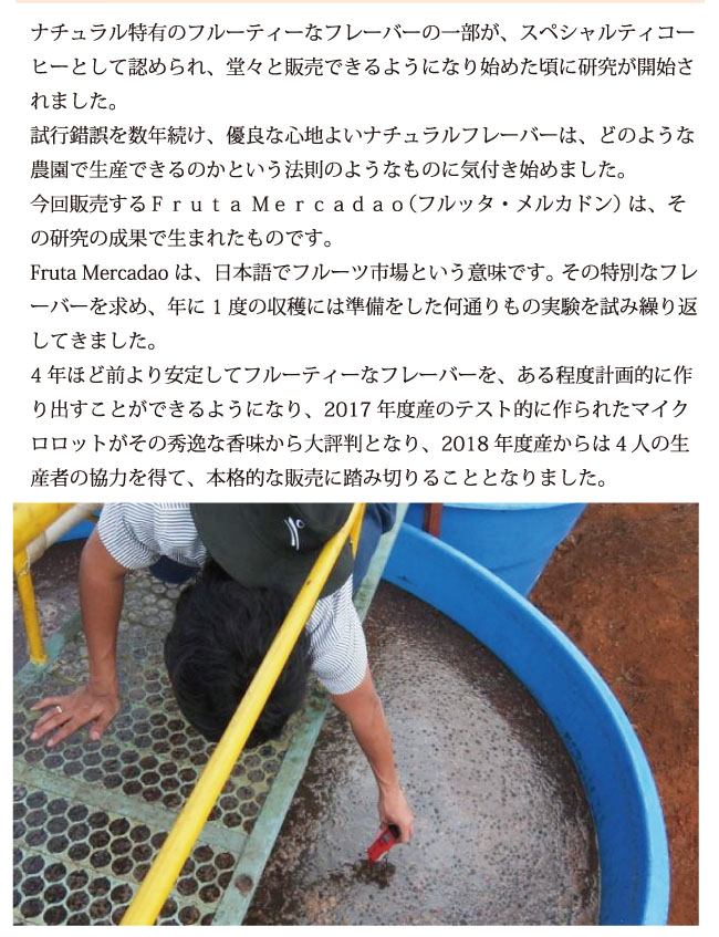 ブラジル産コーヒー フルッタ・メルカドン説明02