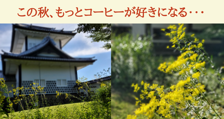 秋ブレンド