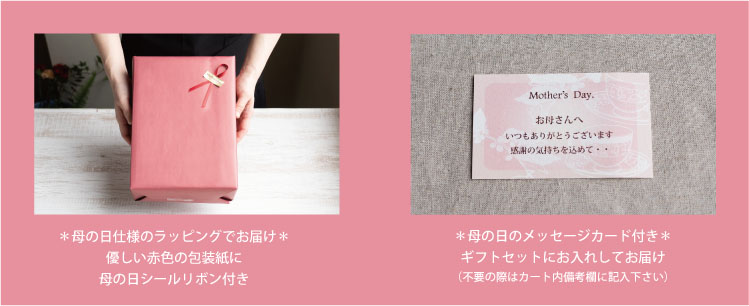 母の日ギフト　info02