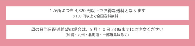 母の日ギフト　info03