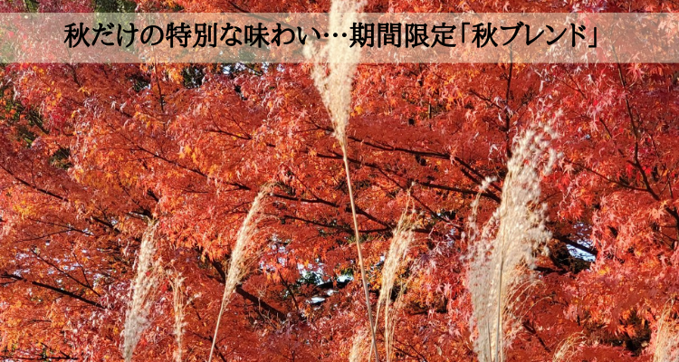 秋ブレンド