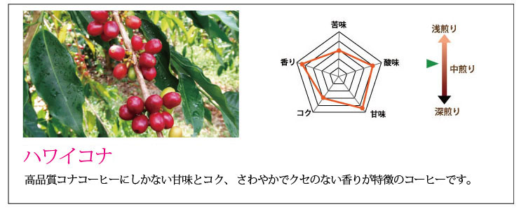 ハワイコナ説明