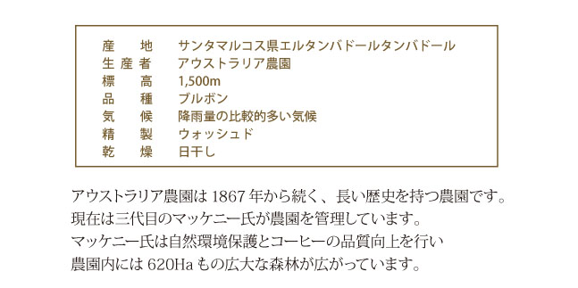 グァテマラ・アウストラリア農園説明