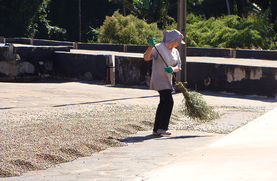 センテニアルブルボン
