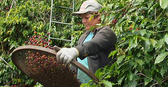 ブレンドコーヒーのこだわり