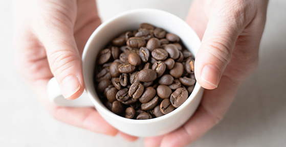 鮮度にこだわる