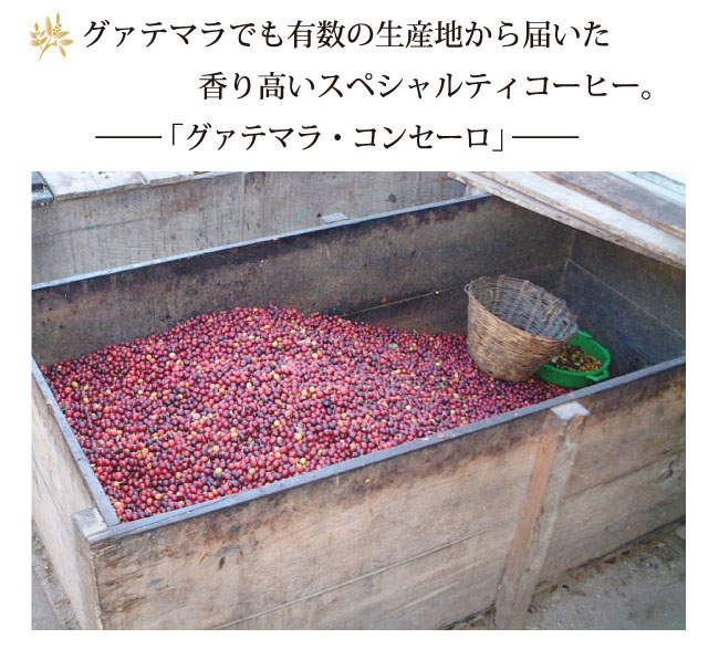 コンセーロ説明001