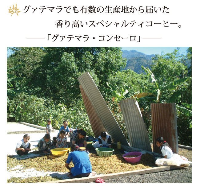 コンセーロ説明001