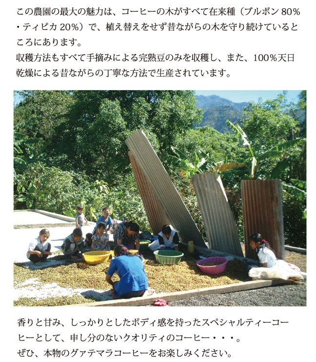 コンセーロ説明003