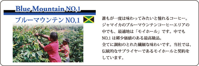 福袋ブルーマウンテンNO,1の説明