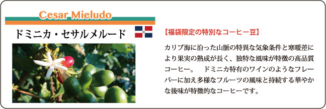 福袋ドミニカコーヒーの説明