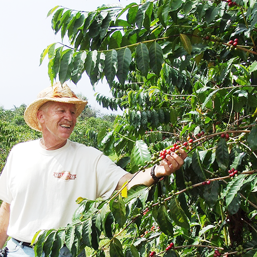 ハワイコナ・クイーン農園