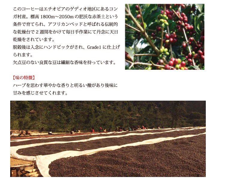 モカコーヒー・アビシニアの説明02