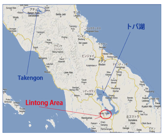 マンデリン・リントン説明04