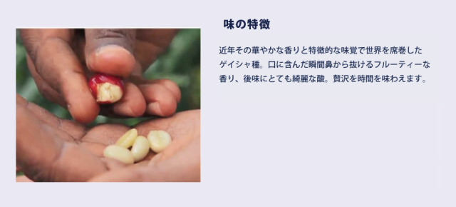 ゲシャビレッジ・ゲイシャ味