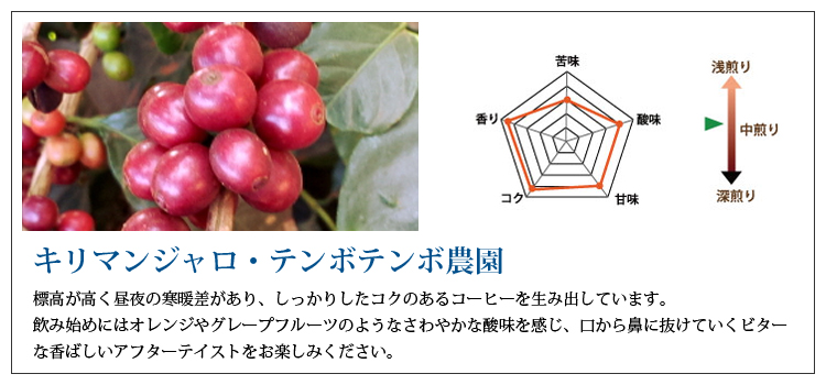 キリマンジャロ・テンボテンボ農園説明