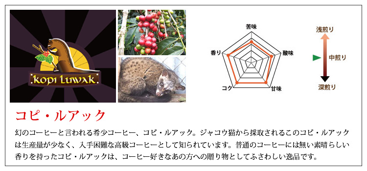 コピルアック説明