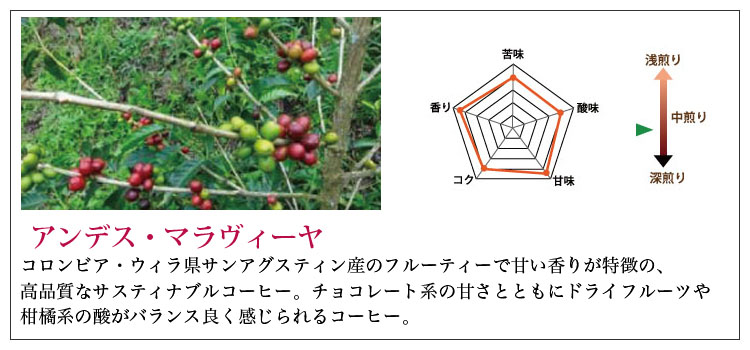 アンデス・マナヴィーヤ説明