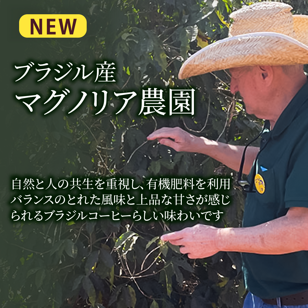 マグノリア農園