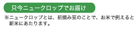 只今ニュークロップにてお届けしています