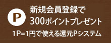 会員登録でお得なポイントシステムについて