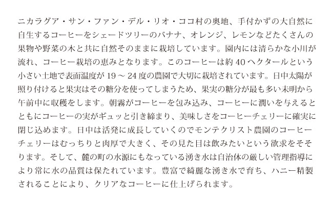 ニカラグア説明