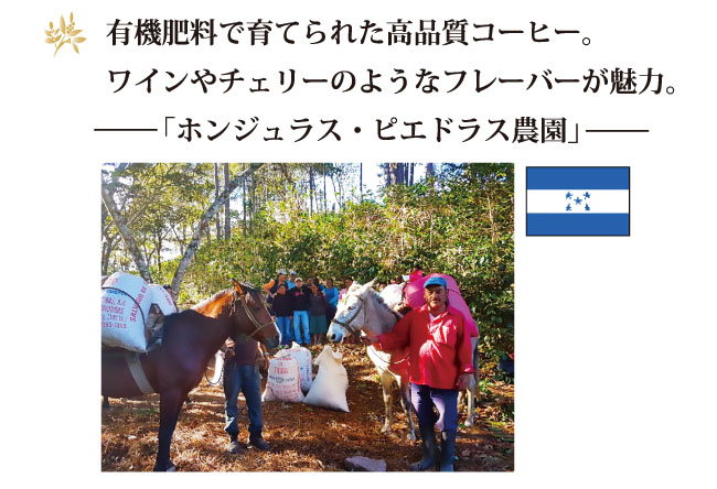 ホンジュラス・ピエドラス農園