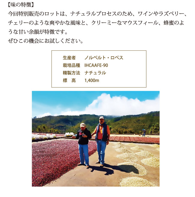 ホンジュラス・ピエドラス農園