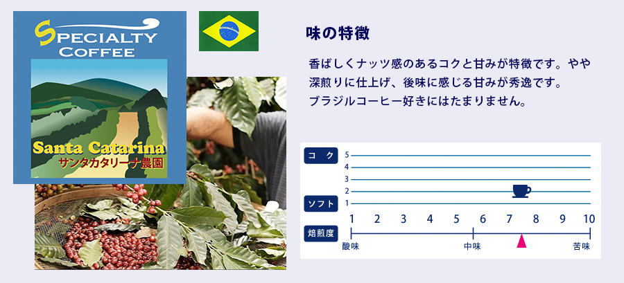  ブラジル・サンタカタリーナ農園
