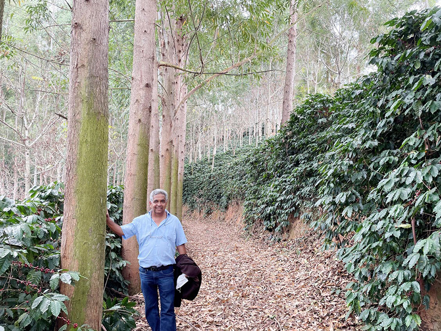 サンタカタリーナ