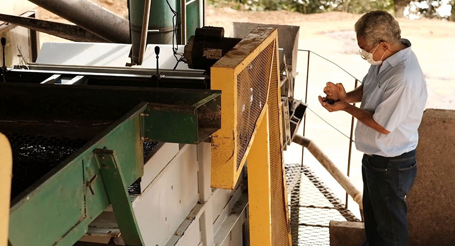 サンタカタリーナ