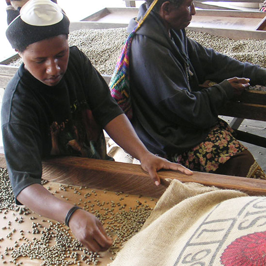 パプアニューギニア"