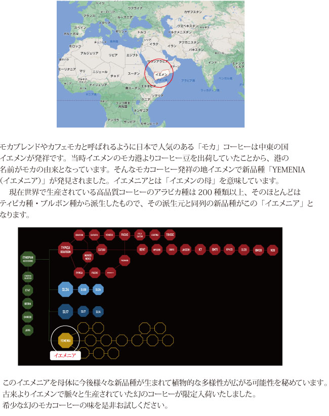 イエメニア説明
